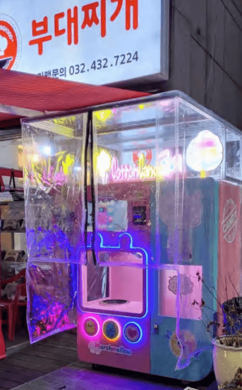 On-site Cotton Candy Machine Rental